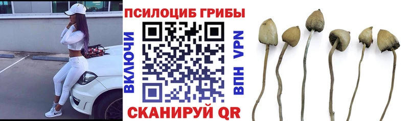 закладка  Петушки  Псилоцибиновые грибы мухоморы 